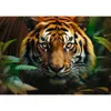 Trefl Puzzle 1000 el. Dziki tygrys, 1000 szt., Animals Podgląd zdjęcia produktu 3