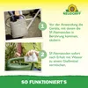 Neudorff Nützlinge gegen Ameisen – 10 Mio. SF-Nematoden Produktbild-Vorschau 5