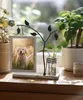 A decorative picture frame with a photo of a dog, a small plant in a vase, and a metal tree branch, placed on a windowsill. Produktbild-Vorschau
