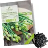 Schnittknoblauch Samen - Küchenkräuter Saatgut aus Produktbild-Vorschau 1
