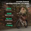 FAFREES F20 Elektrische fiets - Motor 250W, batterij 36V Productafbeelding-voorbeeld 13