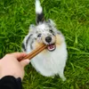 Akinu DENTASTAR Tyčky pamlsek pro psy dentální žvýkací 7 ks Náhled obrázku produktu 3