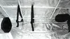 Interior view of a grow tent, showing support poles, straps, and ventilation ports. Produktbild-Vorschau
