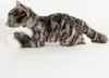 A plush cat toy lying down on a white background. Produktbild-Vorschau