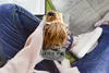MuchoWow® Handyhülle Schutzhülle Hülle für iPhone 8 Produktbild-Vorschau 3