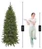 Triumph Tree Arbre de Noël artificiel Bristlecone Fir - Voir les images du produit 8