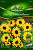 Quedlinburger Saatgut - Zwerg-Sonnenblumen Ballad - Samen - Produktbild-Vorschau 1