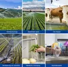 Izrielar studniční čerpadla Hlubinné studniční čerpadlo Náhled obrázku produktu 11