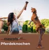 A woman and a beagle dog playing with large bones in a garden. Produktbild-Vorschau