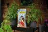 Anzuchterde mit Perlite Floragard LightMix Anzucht 20 L Produktbild-Vorschau 4