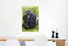 MuchoWow® Poster Ein Gorilla spaziert durch die grünen Produktbild-Vorschau 5