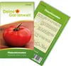 Fleischtomaten Marmande Samen - Solanum lycopersicum - Produktbild-Vorschau 1