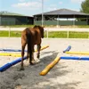 A brown horse walks through a sandy arena with blue and yellow obstacles laid out in a pattern. Náhľad obrázku produktu