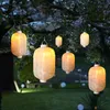 LED Solar Lampion - Flammeneffekt - 30 warmweiße LED - H: Produktbild-Vorschau 1