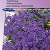 Vanilla Flower Marine Garden Heliotrop – balení – tmavě Náhled obrázku produktu 1