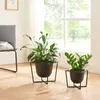 Two black metal plant stands with plants in them are placed on a wooden floor in front of a large window. Náhled obrázku produktu