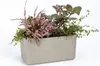 A rectangular planter box filled with plants, shown against a white background. Náhled obrázku produktu