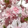 Umelo vyzerajúci čerešňový stromček – dekoratívny bonsai s Náhľad obrázku produktu 6