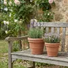 Two terracotta pots with plants on a wooden bench in a garden setting with roses and a stone wall. Produktbild-Vorschau