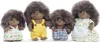 Sylvanian Families Igel: Familie von Stachel Produktbild-Vorschau 18