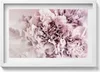 Blassrosa Pfingstrosenblüten– Wandbild mit Rahmen – Produktbild-Vorschau 1
