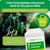 Purgrün Alocasia-Dünger | Flüssigdünger für Alocasien | 1L Produktbild-Vorschau 4