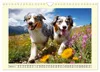 Australian Shepherd. Wanderfreude auf Pfoten im Bergsommer Produktbild-Vorschau 12