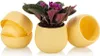 Lot de 6 pots de fleurs Cactus jaunes 6 cm avec réservoir Voir les images du produit 7