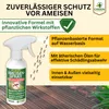 Ameisen Abwehrspray Power-Konzentrat 500 ml – Mittel gegen Produktbild-Vorschau 5