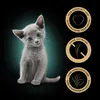 Sheba 85gx40 Multipack Kitten Feine Variante in Sauce Anteprima dell’immagine prodotto 4