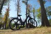 28'' 18Ah Pre-mium Elektrofahrrad E-Bike Pedelec 7Gang Produktbild-Vorschau 9