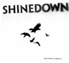 Shinedown - The Sound Of Madness (Vinile bianco) (LP) Anteprima dell’immagine prodotto 1