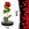 Ewige Rose unter Glas mit LED, rote Dekorationsrose, Produktbild-Vorschau 4