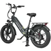 Maxtron Camel E-Fatbike 20 Zoll, 48V 250W Bafang Motor Produktbild-Vorschau 3