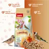 PANTO Erdnussbruch halbe und ganze mit Haut 25 kg – Produktbild-Vorschau 2