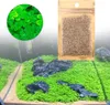 10 g Easy Water Aquatic Live Grow Semi di piante Acquario Anteprima dell’immagine prodotto 3