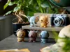A collection of small, spring-loaded animal figurines are displayed on a surface, with a vintage camera and a plant in the background. Produktbild-Vorschau
