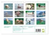 Lagotto Romagnolo, Sonderausgabe (Wandkalender 2027, DIN Produktbild-Vorschau 2
