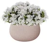 Prosperplast SPLOFY BOWL Blumentopf mit Einsatz 37 cm - Produktbild-Vorschau 3
