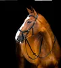 Horseware Ireland Trense Micklem 2 Deluxe Competition Produktbild-Vorschau 1