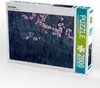CALVENDO Puzzle Aprilreigen 2000 Teile Puzzle quer | 2000 Produktbild-Vorschau 2
