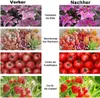 LED Pflanzenlampe Vollspektrum 300W Faltbar, LED Grow Lampe Produktbild-Vorschau 7