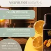 HAF Saunaaufguss Set „Fruchtige Oase“ - 6 x 250ml Sauna Produktbild-Vorschau 6