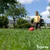 Nasiona trawy do boisk Resilient – 10 kg = 500 m² – nasiona Podgląd zdjęcia produktu 6
