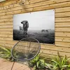 Gartenposter - 120x80 cm - Kühe am Morgen Nebel Produktbild-Vorschau 7