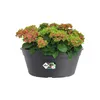 elho green basics bowl 33cm, Sadzarka w doniczce, Podgląd zdjęcia produktu 2