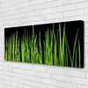 Tulup Leinwand-Bilder 125x50 Wandbild Canvas Kunstdruck Produktbild-Vorschau 2