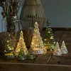 Sirius Home Lucy, Světelná dekorativní figura, Průhledná, Náhled obrázku produktu 3