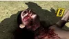 Take-Two Interactive L.A. Noire, PlayStation 4, M (Reif) Produktbild-Vorschau 4
