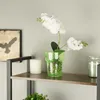 A white orchid in a green glass pot sits on a shelf next to a white candle and a glass jar. Náhled obrázku produktu